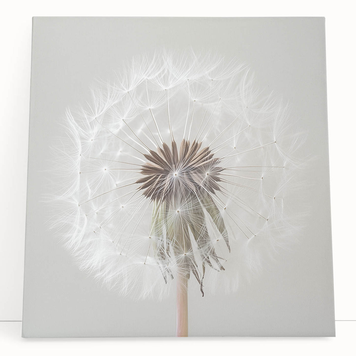 Black and white floral photograph on large stretched canvas, suited for kitchen wall art or bedroom ambiance.