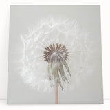 Black and white floral photograph on large stretched canvas, suited for kitchen wall art or bedroom ambiance.