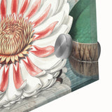 Botanical Realism Art | Great Water Lily of America by William Sharp