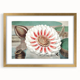 Botanical Realism Art | Great Water Lily of America by William Sharp