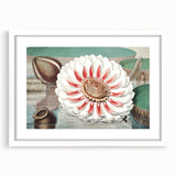 Botanical Realism Art | Great Water Lily of America by William Sharp