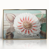 Botanical Realism Art | Great Water Lily of America by William Sharp