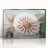 Botanical Realism Art | Great Water Lily of America by William Sharp