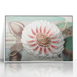 Botanical Realism Art | Great Water Lily of America by William Sharp