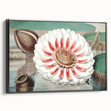 Botanical Realism Art | Great Water Lily of America by William Sharp