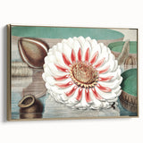 Botanical Realism Art | Great Water Lily of America by William Sharp