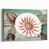 Botanical Realism Art | Great Water Lily of America by William Sharp