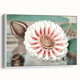 Botanical Realism Art | Great Water Lily of America by William Sharp