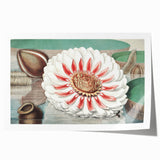 Botanical Realism Art | Great Water Lily of America by William Sharp