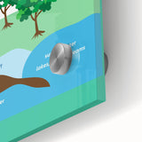 Classroom Educational Posters - The Water Cycle Learning Print