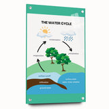 Classroom Educational Posters - The Water Cycle Learning Print