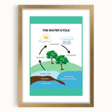 Classroom Educational Posters - The Water Cycle Learning Print