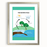 Classroom Educational Posters - The Water Cycle Learning Print