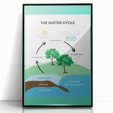 Classroom Educational Posters - The Water Cycle Learning Print