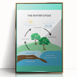 Classroom Educational Posters - The Water Cycle Learning Print