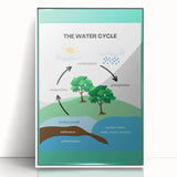 Classroom Educational Posters - The Water Cycle Learning Print