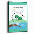 Classroom Educational Posters - The Water Cycle Learning Print
