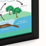 Classroom Educational Posters - The Water Cycle Learning Print