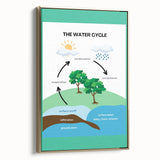 Classroom Educational Posters - The Water Cycle Learning Print