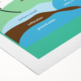 Classroom Educational Posters - The Water Cycle Learning Print