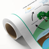 Classroom Educational Posters - The Water Cycle Learning Print