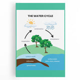 Classroom Educational Posters - The Water Cycle Learning Print