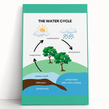 Classroom Educational Posters - The Water Cycle Learning Print