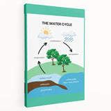 Classroom Educational Posters - The Water Cycle Learning Print