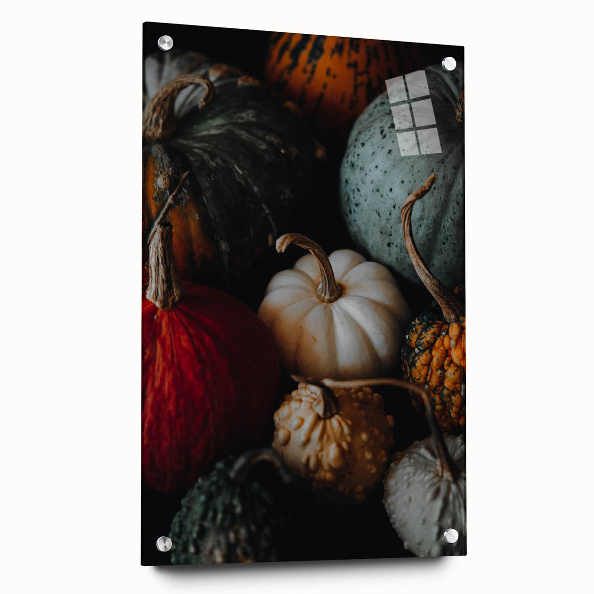 Large abstract wall art depicting fall foliage in rich orange and yellow tones on acrylic glass, ideal for dining room decor.