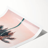 Extra large wall art featuring line art flowers in black on white, rolled canvas, ideal for large living room decor.