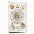 Modern Wall Art - Intricate Jellyfish Design in Pastel Tones