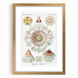 Modern Wall Art - Intricate Jellyfish Design in Pastel Tones