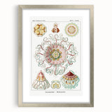 Modern Wall Art - Intricate Jellyfish Design in Pastel Tones