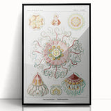 Modern Wall Art - Intricate Jellyfish Design in Pastel Tones