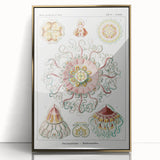 Modern Wall Art - Intricate Jellyfish Design in Pastel Tones