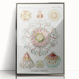 Modern Wall Art - Intricate Jellyfish Design in Pastel Tones