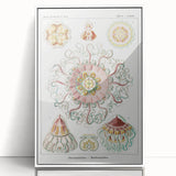 Modern Wall Art - Intricate Jellyfish Design in Pastel Tones