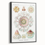 Modern Wall Art - Intricate Jellyfish Design in Pastel Tones