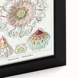 Modern Wall Art - Intricate Jellyfish Design in Pastel Tones