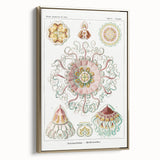 Modern Wall Art - Intricate Jellyfish Design in Pastel Tones