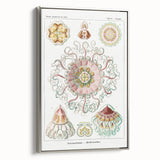 Modern Wall Art - Intricate Jellyfish Design in Pastel Tones
