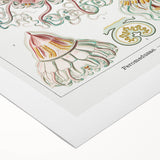 Modern Wall Art - Intricate Jellyfish Design in Pastel Tones