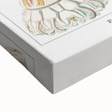 Modern Wall Art - Intricate Jellyfish Design in Pastel Tones