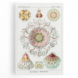 Modern Wall Art - Intricate Jellyfish Design in Pastel Tones