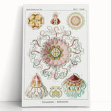 Modern Wall Art - Intricate Jellyfish Design in Pastel Tones