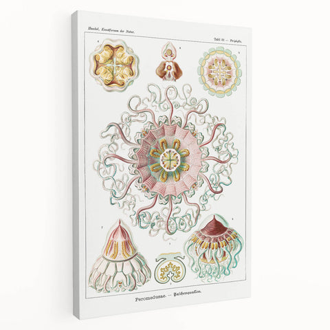 Modern Wall Art - Intricate Jellyfish Design in Pastel Tones