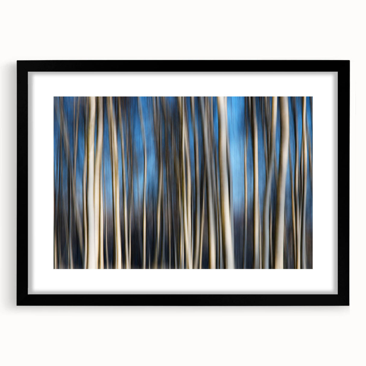 Vertical Rhythm – Motion Photography Through a Blue Forest Scene