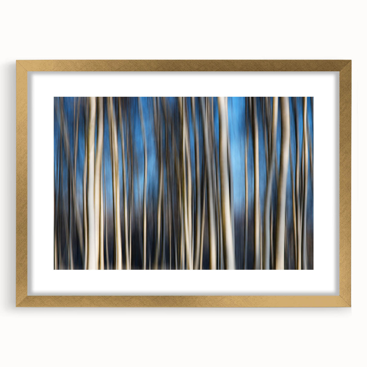 Vertical Rhythm – Motion Photography Through a Blue Forest Scene