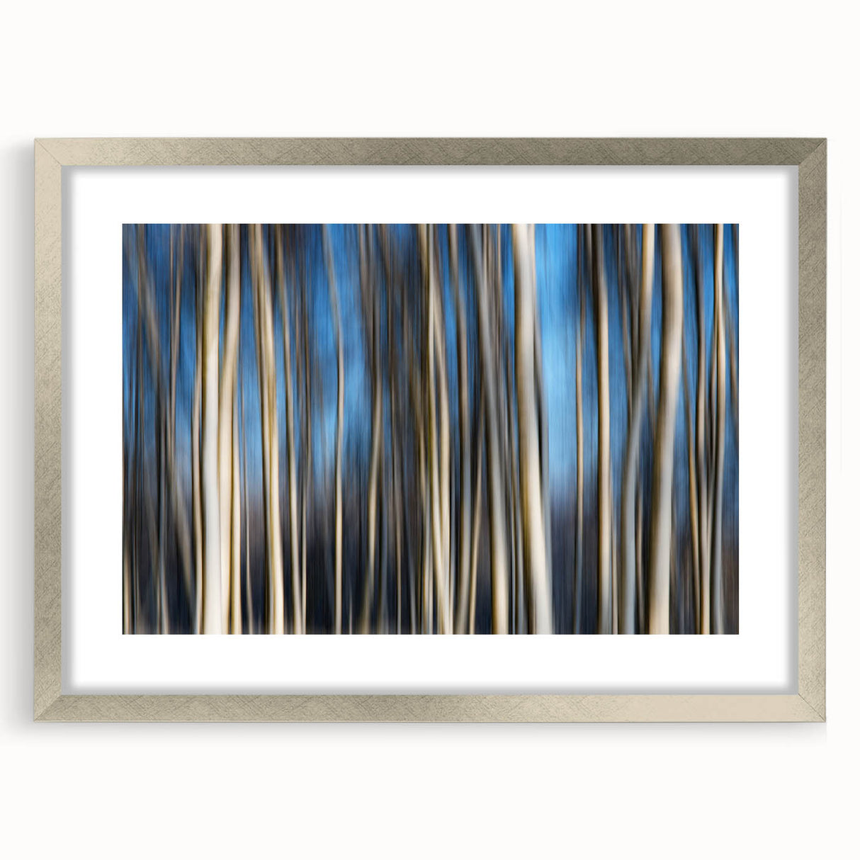 Vertical Rhythm – Motion Photography Through a Blue Forest Scene