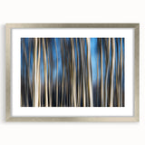 Vertical Rhythm – Motion Photography Through a Blue Forest Scene